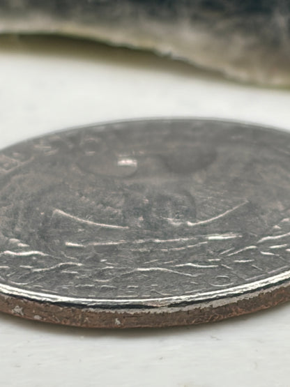 🪙⚡🔥 1983 Washington Quarter – MULTIPLE MINT ERRORS – Off‑Center, Misaligned Die, Grease Strike, Die Cracks, Partial Missing Clad Laye